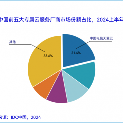 夺魁！天翼云荣登2024H1中国专属云服务市场第一